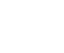 لوگو کاوه دیزل