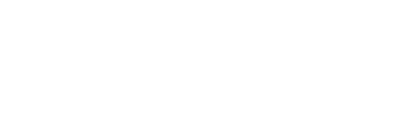 Carrier